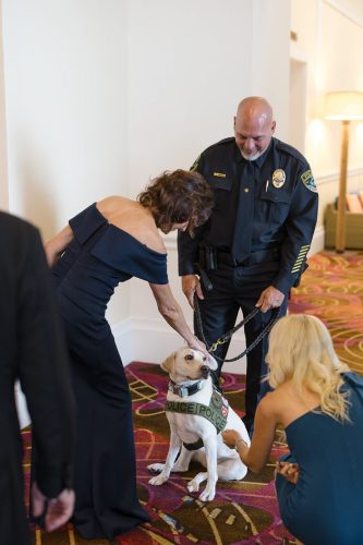 Make Our Schools Safe