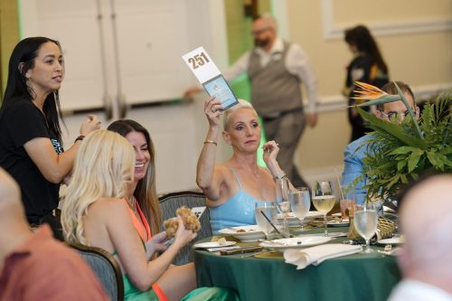 Make Our Schools Safe