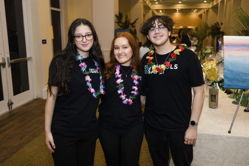 Make Our Schools Safe