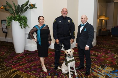 Make Our Schools Safe